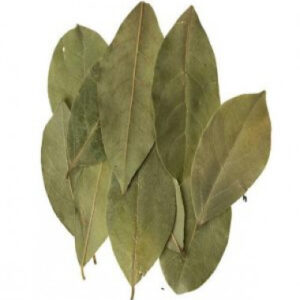 Bay Leaf