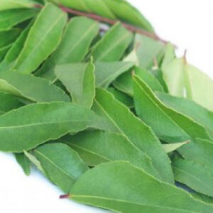 Curry Leaves