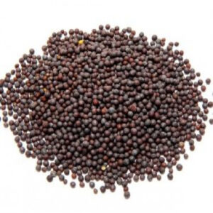 Mustard Seeds