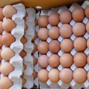 Fresh Farm Eggs