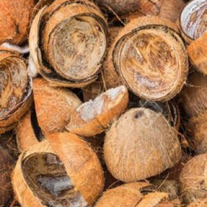 Coconuts Shell Scrap